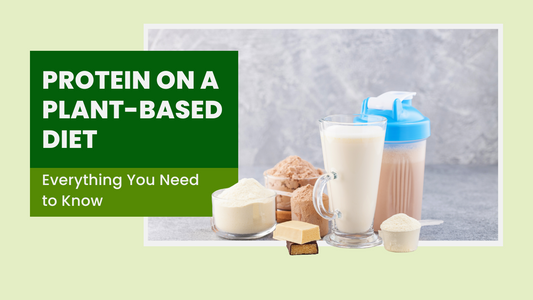 Protein on a Plant-Based Diet: Everything You Need to Know