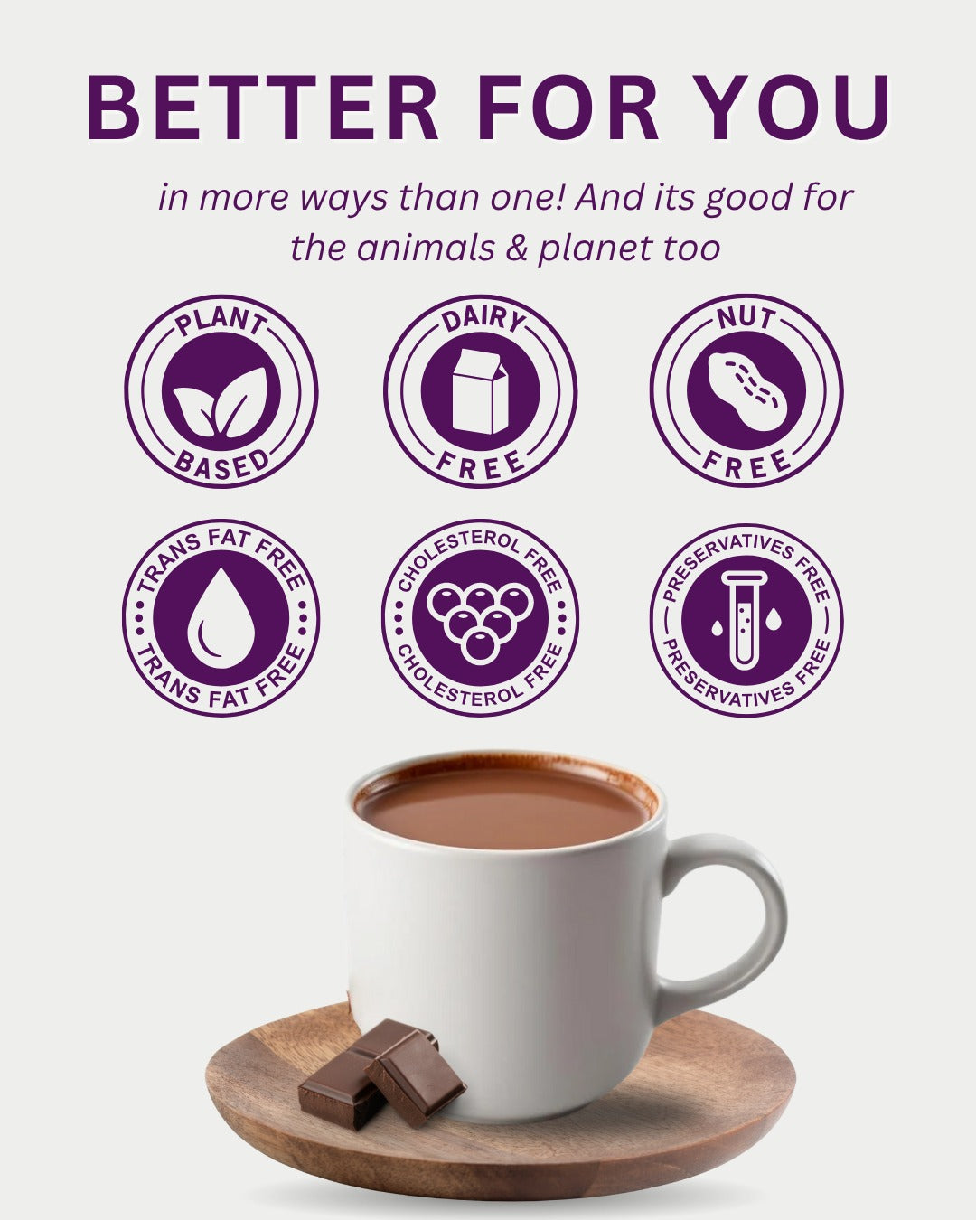 Hot Chocolate Premix