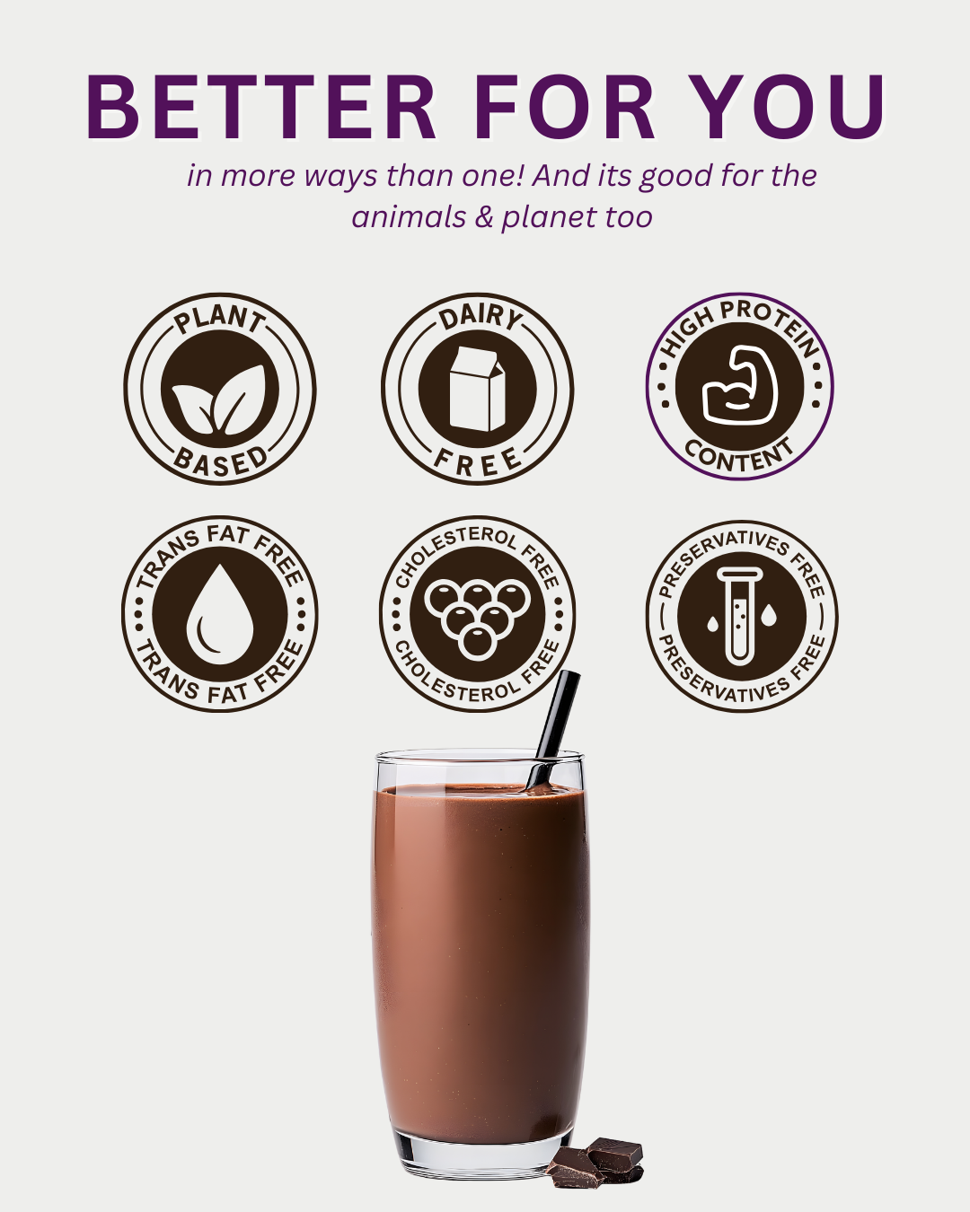 Chocolate Protein Shake Premix